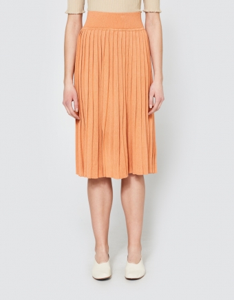Giselle Skirt in Apricot