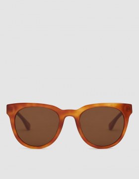 Jane Doe Sunglasses in Tortoise Light