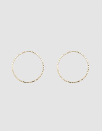 Sparkle Hoop II Earrings